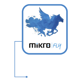 Mikro Fly